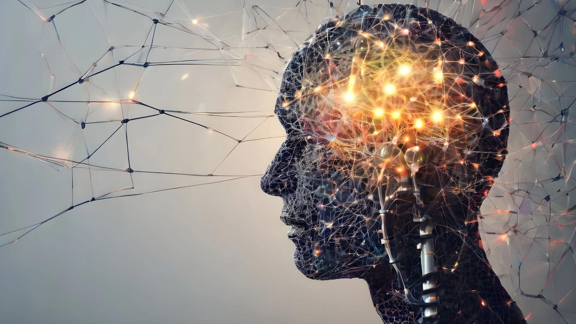 Menschliches Gehirn zur Symbolisierung vom Endocannabinoid-System