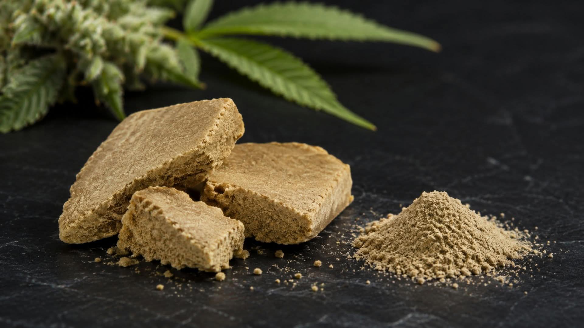 Feingesiebtes Static Hash auf einer dunklen Oberfläche neben grünen Hanfblättern